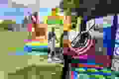 447507422_800519042180673_4307287536717812144_n