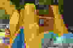 447573718_800518948847349_8393905895118303949_n