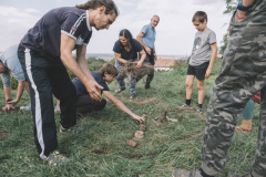 szuret_082_0