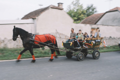 szuret_154_0