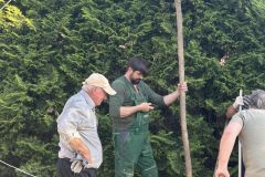 440465173_780053460893898_768450284303653824_n